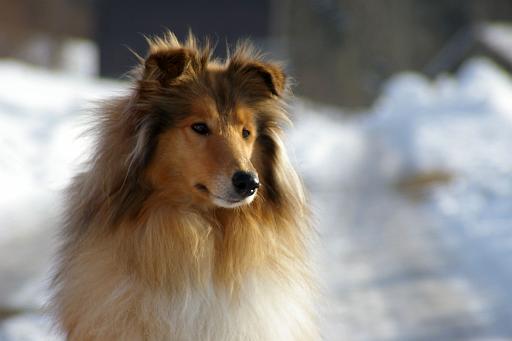 Fotos f. Homepage Galerie 022